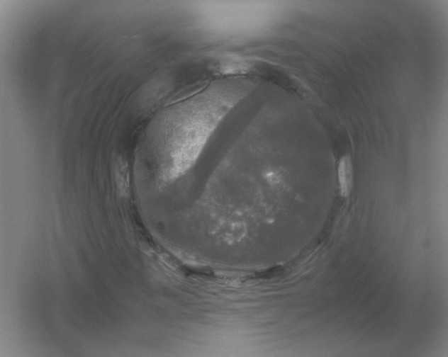 X0000054411443200508121713