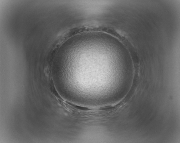 X0000054411445200508121713