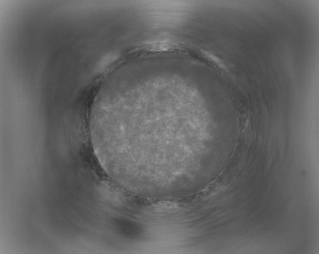 X0000054411446200508121713