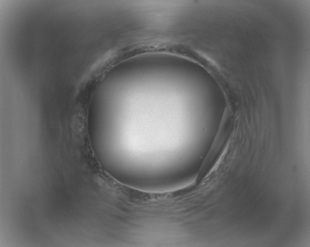 X0000054411447200508121713