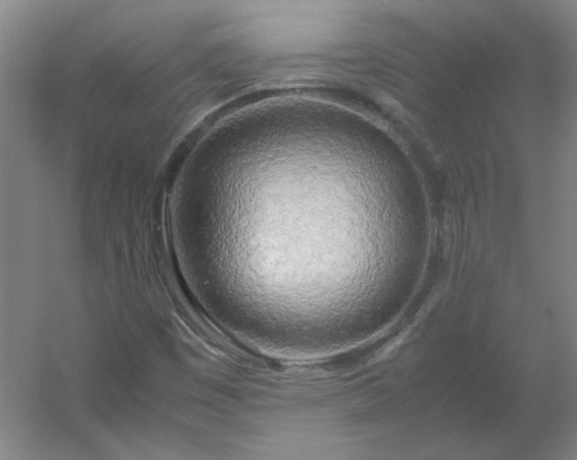 X0000054411449200508121713