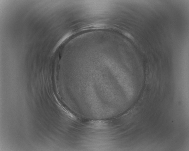 X0000054411450200508121713