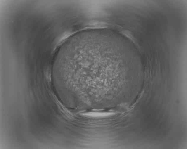 X0000054411451200508121713