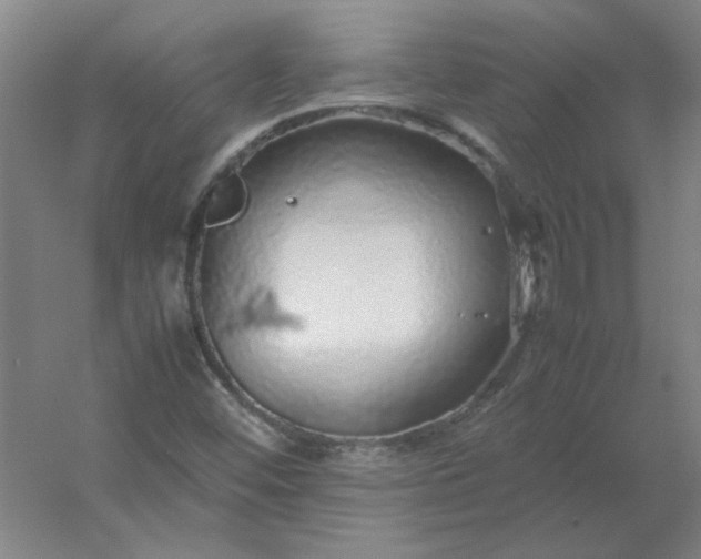 X0000054411452200508121712