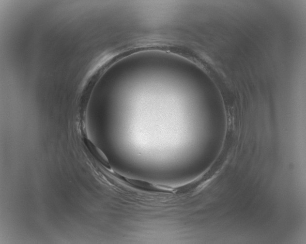 X0000054411453200508121712