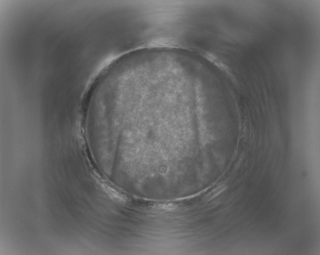 X0000054411454200508121712