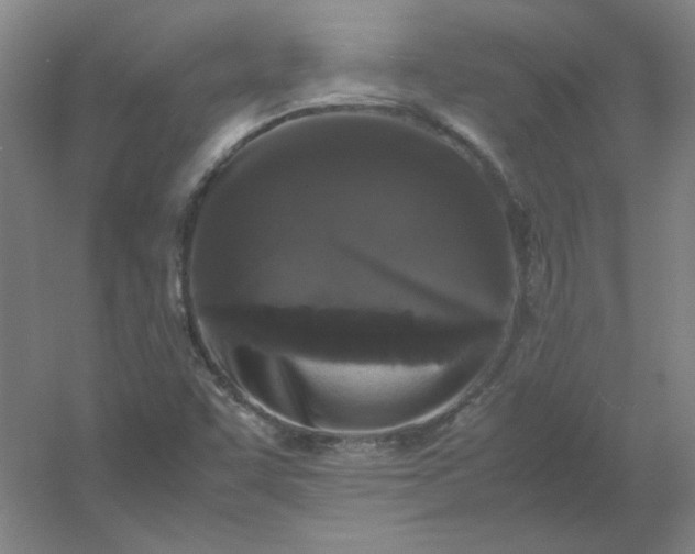 X0000054411455200508121712