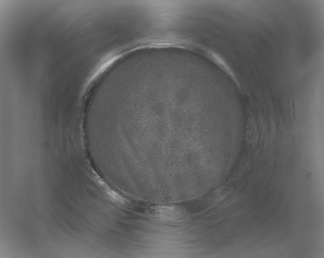 X0000054411456200508121712