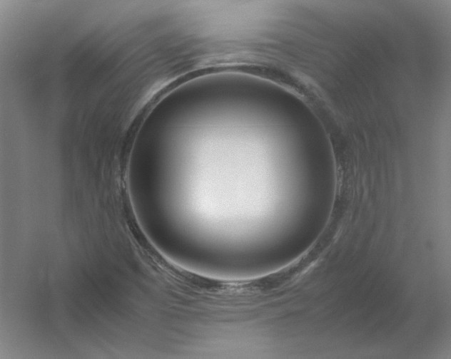 X0000054411457200508121712