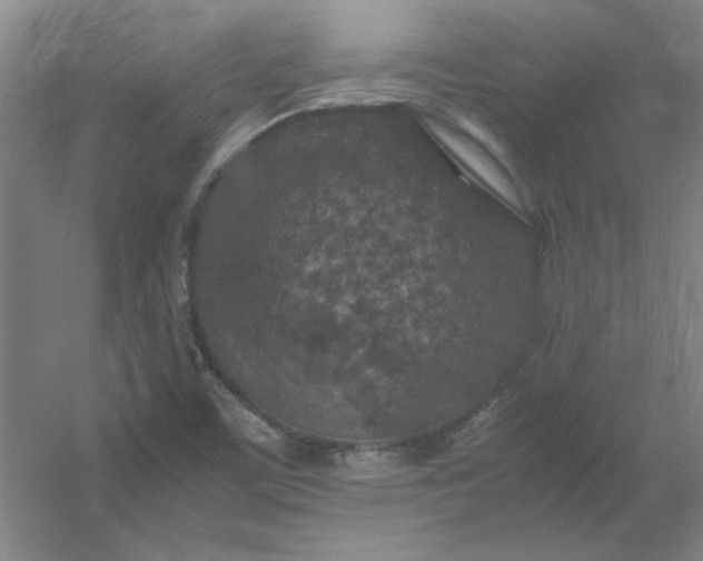 X0000054411459200508121712