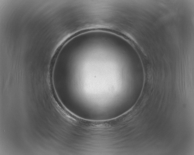 X0000054411460200508121712