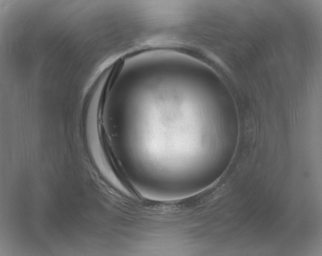 X0000054411461200508121712