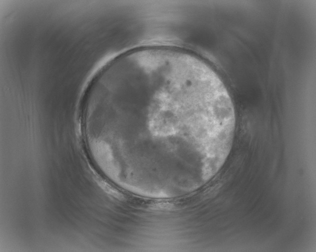 X0000054411462200508121712