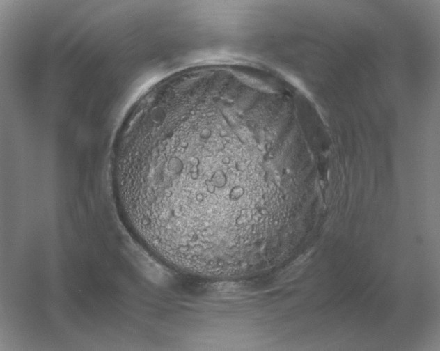 X0000054411463200508121712