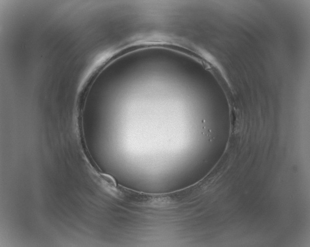 X0000054411464200508121712