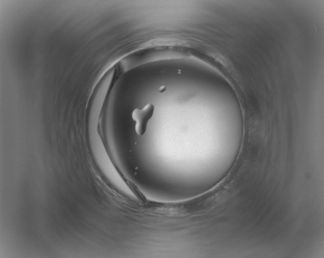 X0000054411465200508121712