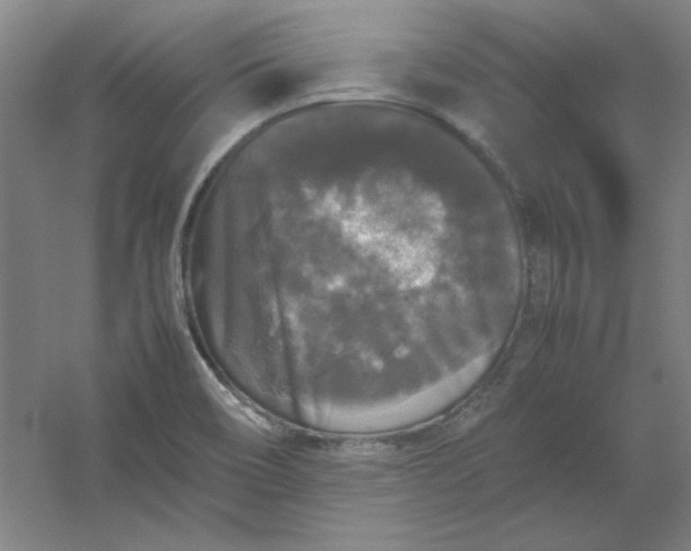 X0000054411466200508121712