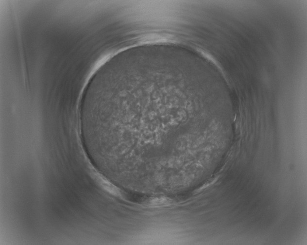 X0000054411467200508121712