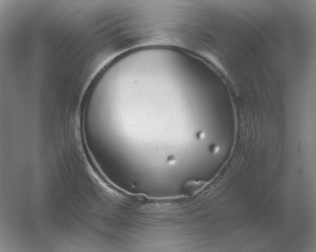 X0000054411468200508121712