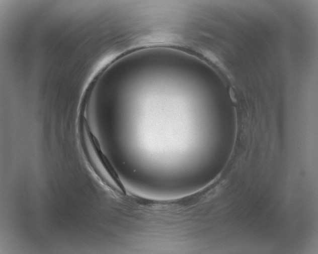 X0000054411469200508121712