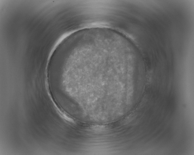 X0000054411470200508121712