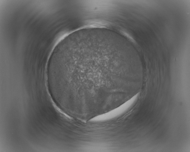 X0000054411471200508121712