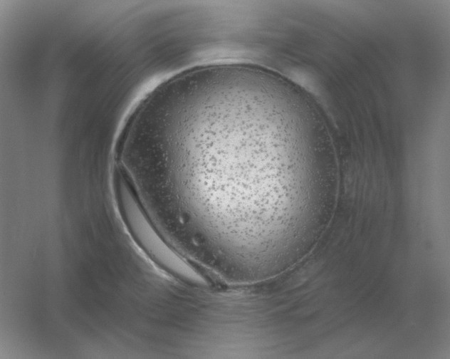 X0000054411472200508121712