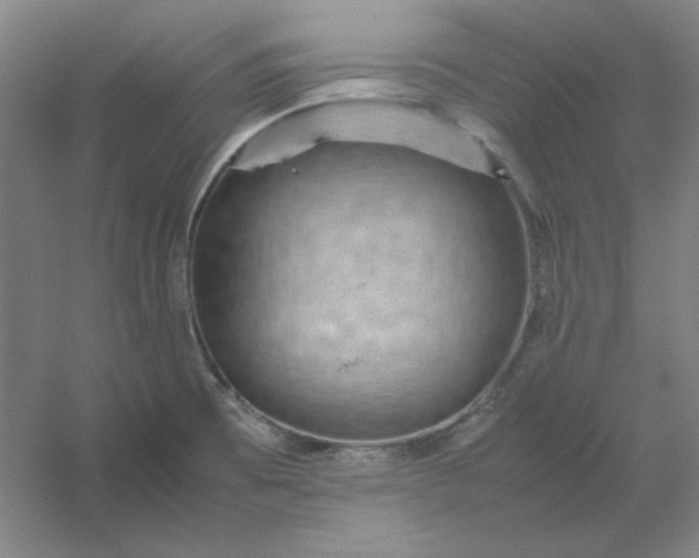 X0000054411473200508121712