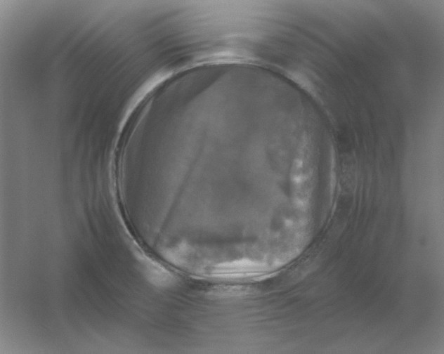 X0000054411474200508121712