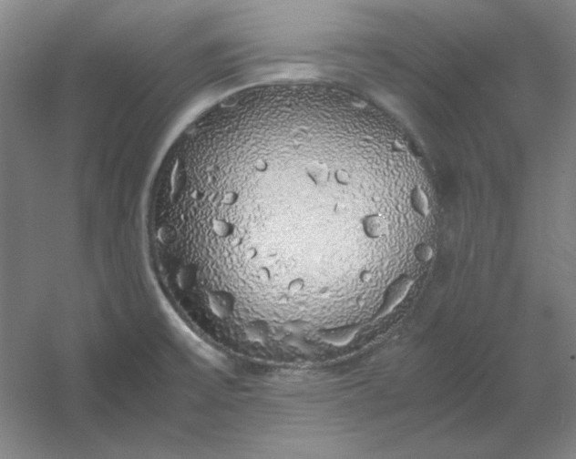 X0000054411475200508121712