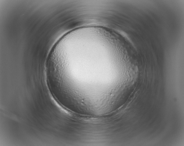 X0000054411476200508121712