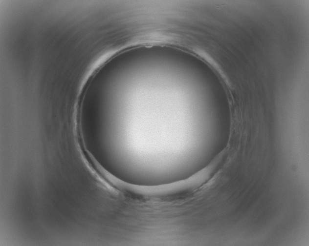 X0000054411477200508121712