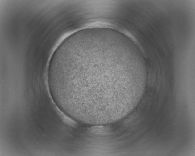 X0000054411478200508121712