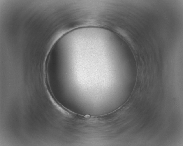 X0000054411479200508121712