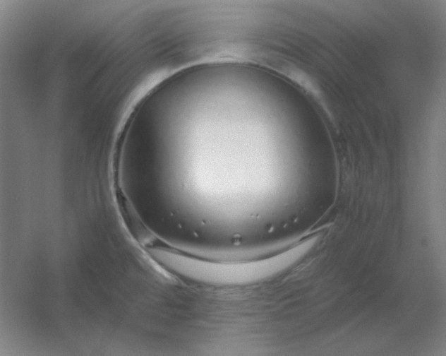 X0000054411480200508121712