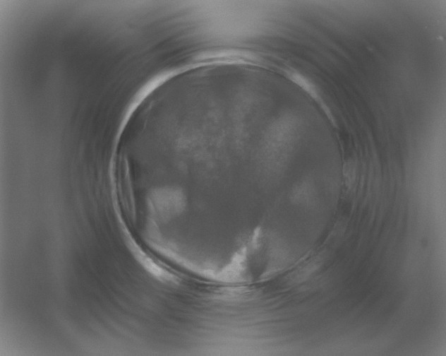 X0000054411482200508121712