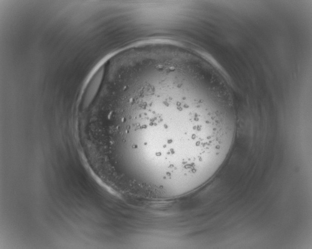 X0000054411484200508121712