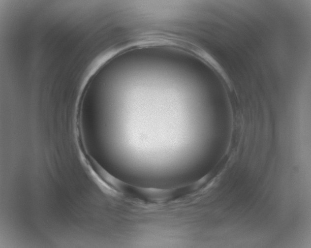 X0000054411485200508121712