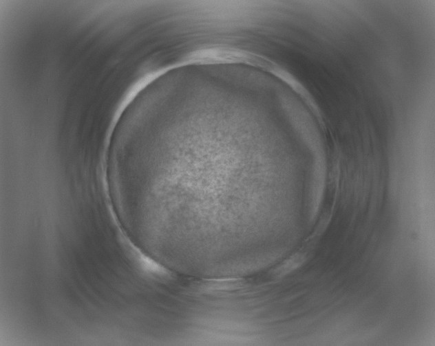 X0000054411486200508121712