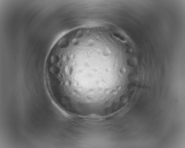 X0000054411487200508121712