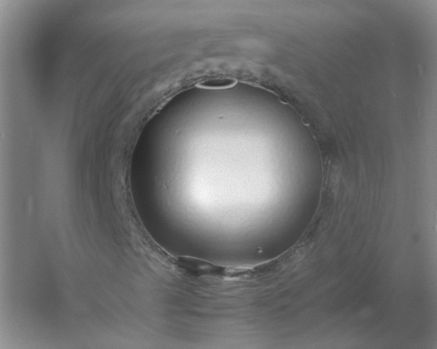 X0000054411489200508121711