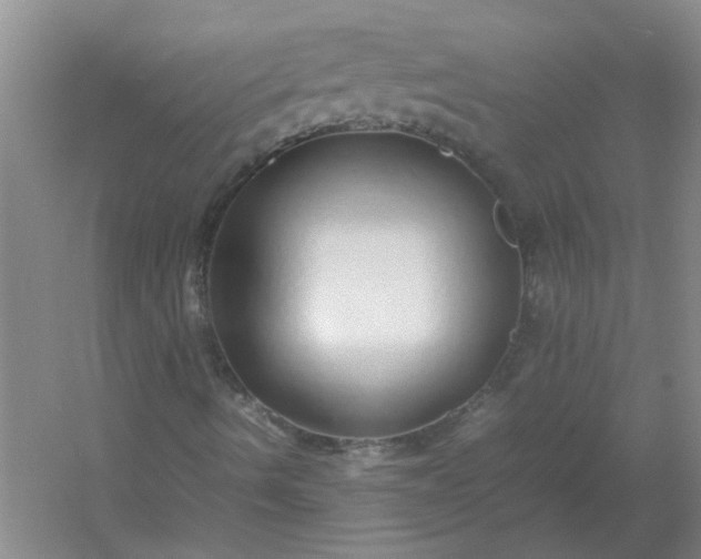 X0000054411490200508121711