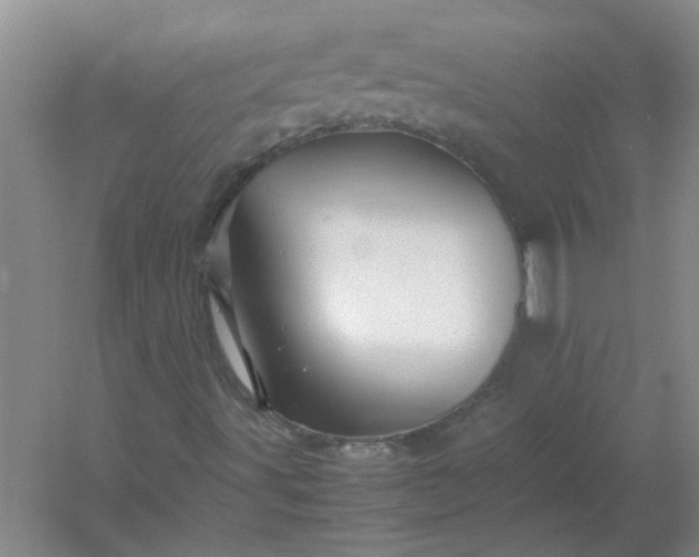 X0000054411491200508121711