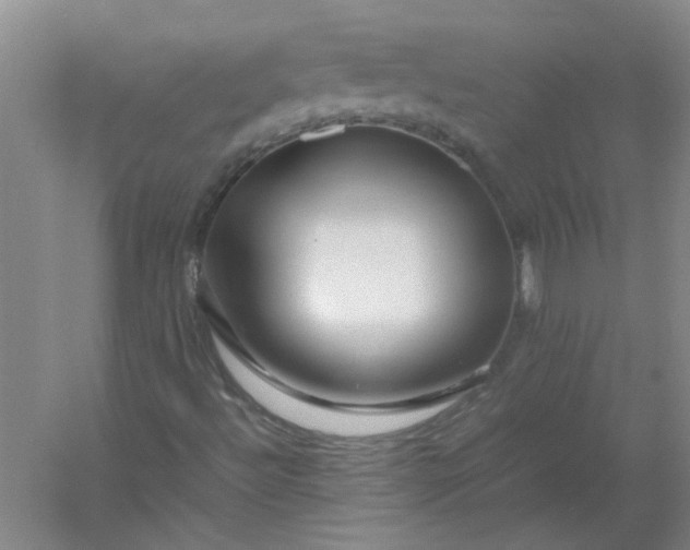 X0000054411492200508121711