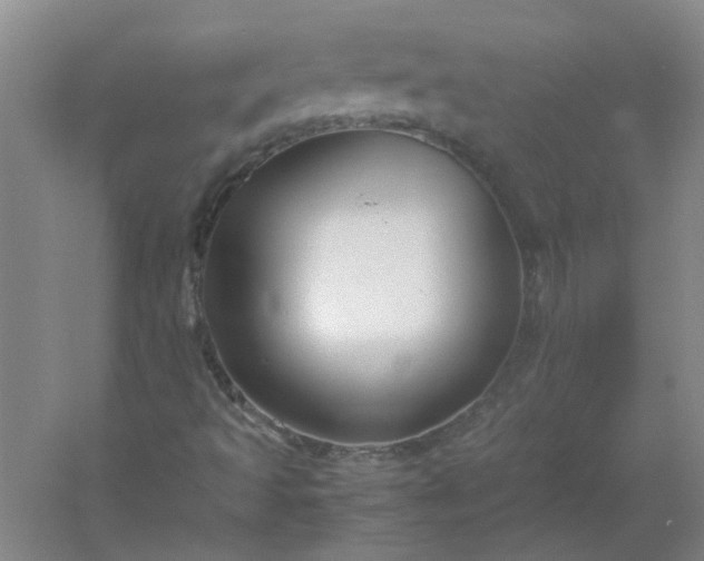 X0000054411493200508121711