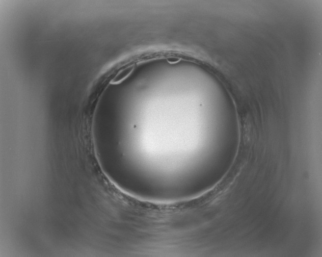 X0000054411494200508121711