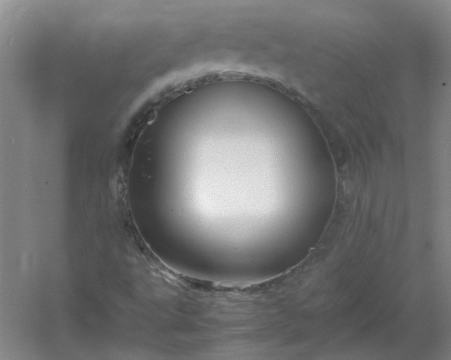 X0000054411495200508121711