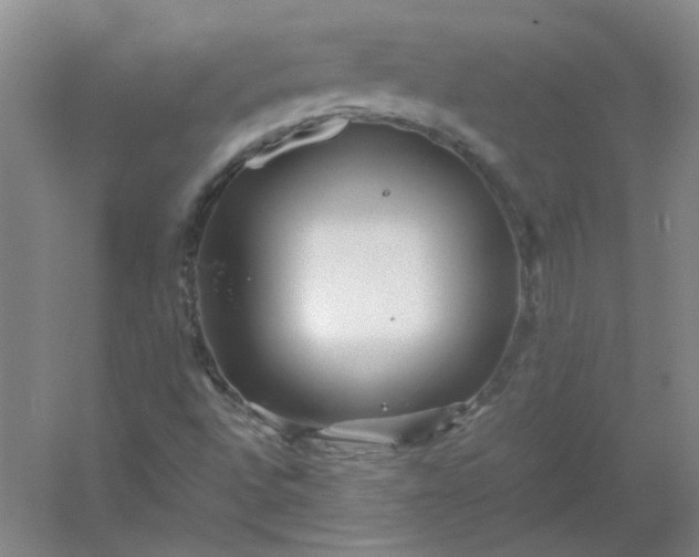 X0000054411496200508121711