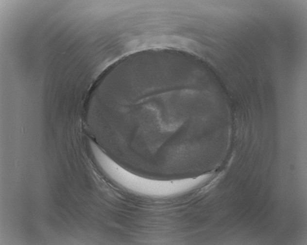 X0000054411497200508121711