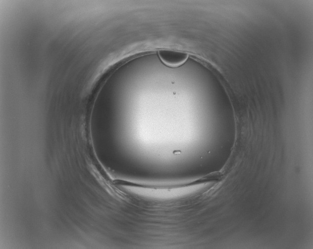 X0000054411499200508121711